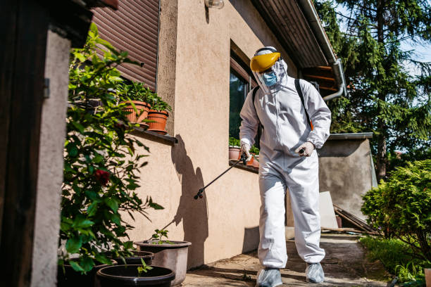 Insect Control in Thomas, OK