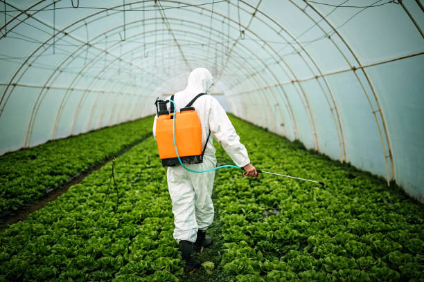 Best Pest Control for Homes  in Thomas, OK