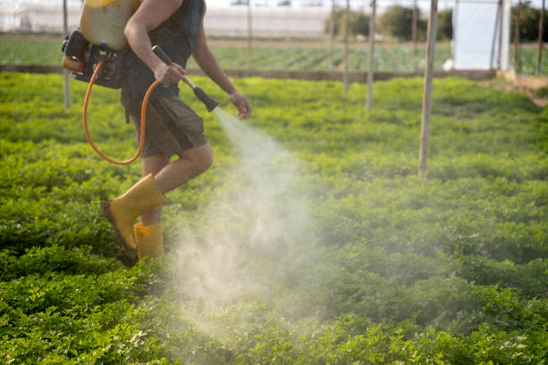 Best Best Pest Control Companies  in Thomas, OK