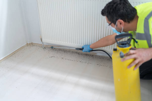 Best Affordable Pest Control Services  in Thomas, OK